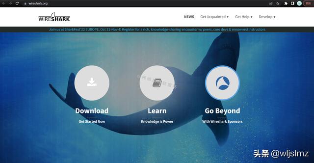 抓包工具哪个最好用(2025年最受工程师欢迎的10款抓包工具有哪些)(2)