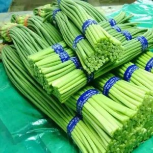 ​菏泽方言属于什么官话 菏泽方言称呼