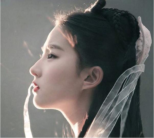 外媒评刘亦菲演花木兰(刘亦菲出演花木兰)(13)