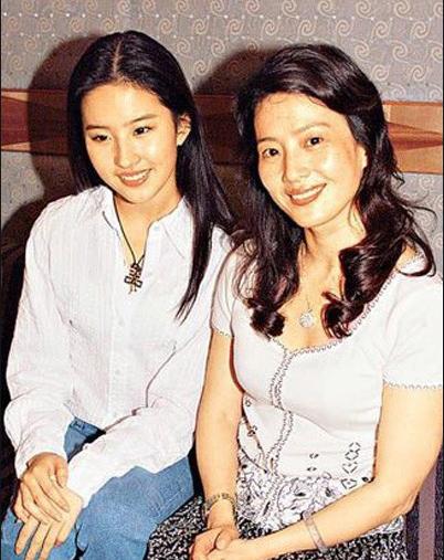 外媒评刘亦菲演花木兰(刘亦菲出演花木兰)(29)