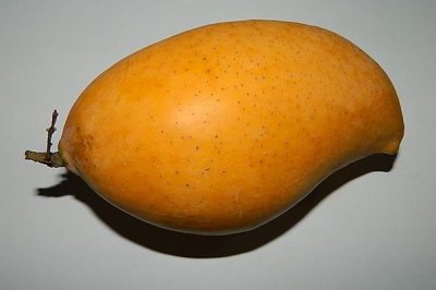 ​芒果哪个地方的好 国内外芒果大pk