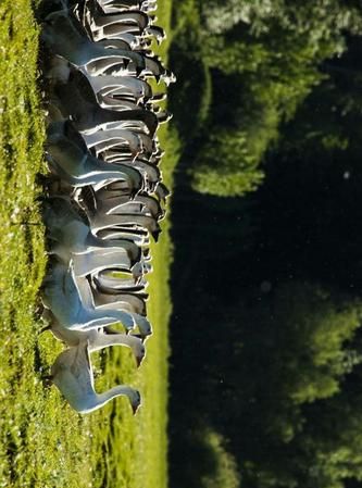 三大生态系统的什么也被形容为地球之肾:下列哪一生态系统被誉为“地球之肾”