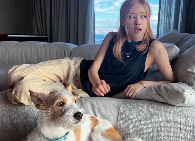 怎么从微信聊天看他爱不爱你(从微信回复就能看出来他爱不爱你) 怎么从微信聊天看他爱不爱你(从微信回复就能看出来他爱不爱你)