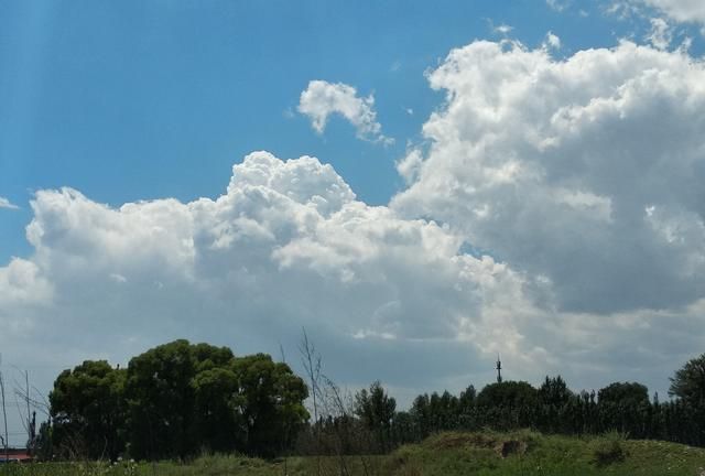 物极必反是什么意思