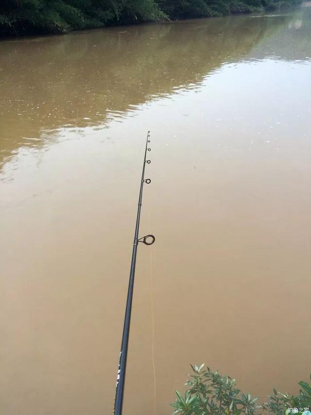 如何讲解净水器原理介绍（净水器的基本原理是什么）(7)