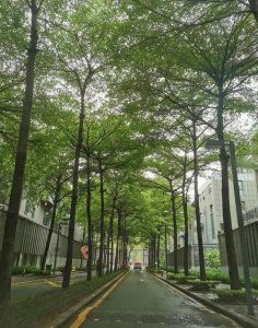 ​一个好的销售人员应该具备的素质