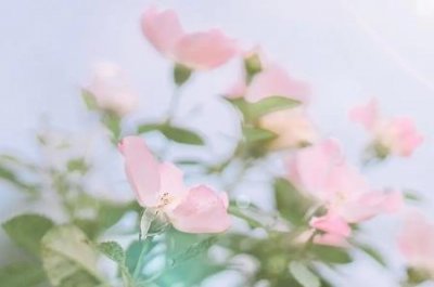 ​快手遭限流了怎么办？快手被限流了怎么弄