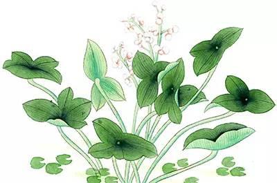 一个短信帮学员挽回妹纸 学长一对一指导案例 一个短信帮学员挽回妹纸 学长一对一指导案例