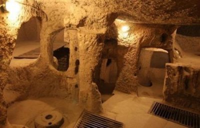 ​亚马逊雨林怪物可以在亚马逊雨林肆无忌惮的奇怪怪兽到