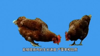 ​鍏婚浮鐨勫揩涔愪笌鎸戞垬锛岎煇旔煒?/p>