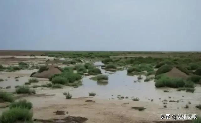 陆地最低点(陆地最低点在哪里)