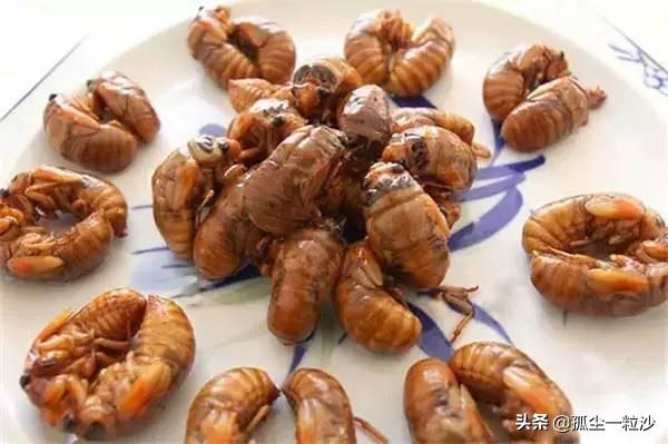 荣成市属于哪个市(山东荣成市属于哪个市)