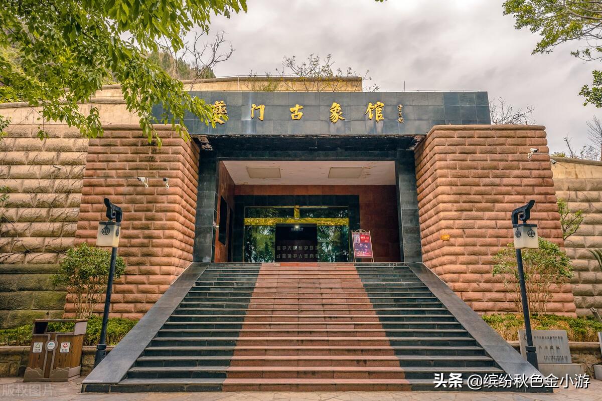 白帝城位于哪个省哪个市(白帝城位于什么县)