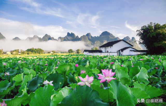鹿寨县属于哪个市(广西鹿寨县属于什么市)