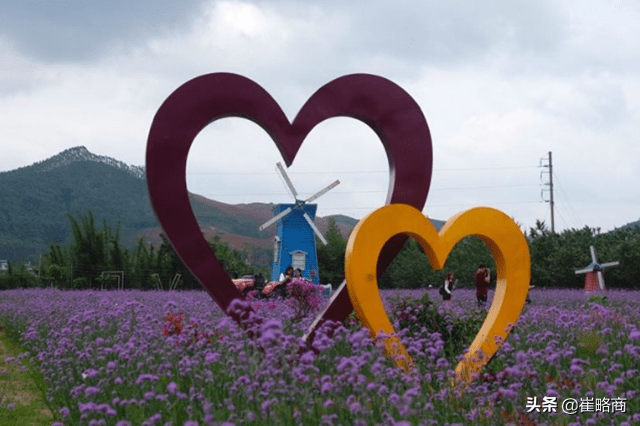 鹿寨县属于哪个市(广西鹿寨县属于什么市)