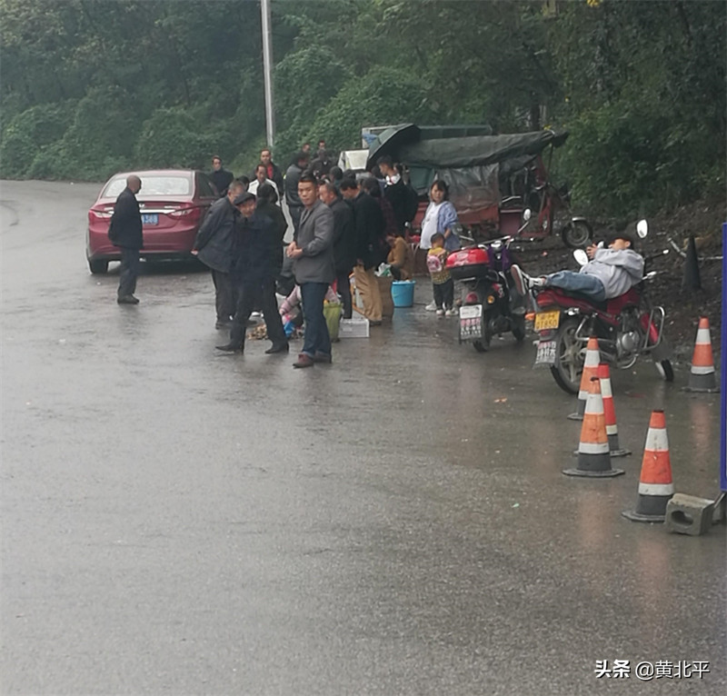 雅江镇属于哪个省哪个市(雅江镇属于哪里)