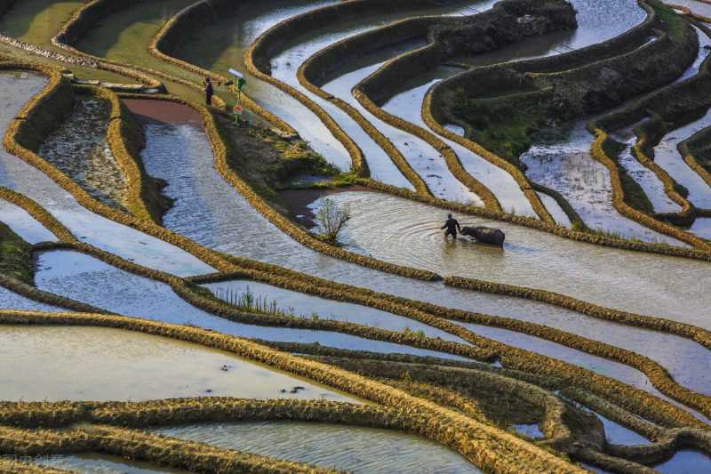 哈尼(关于哈尼族的14个文化常识)