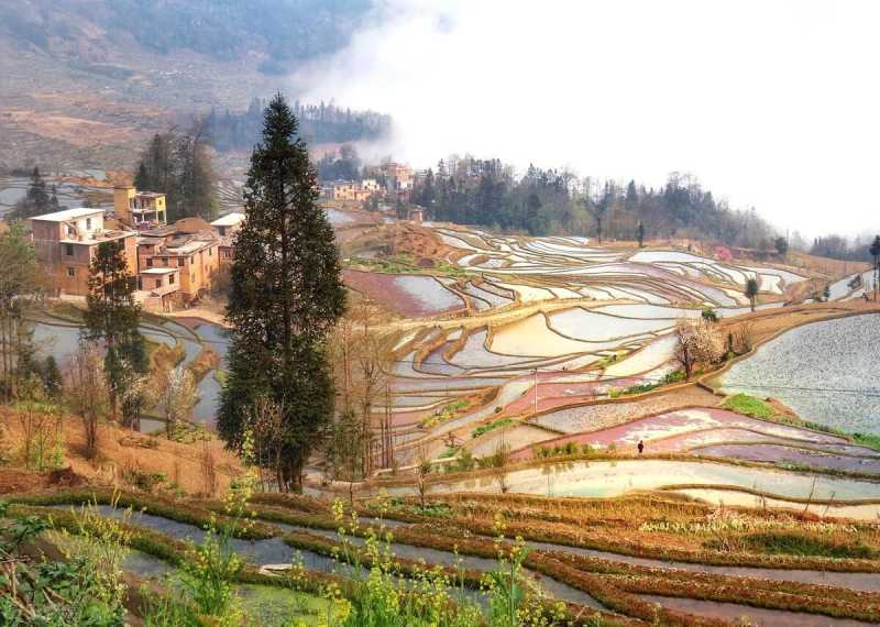 哈尼(关于哈尼族的14个文化常识)