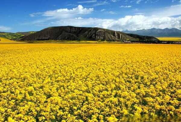 西北大环线自驾旅游攻略,大西北自驾游最佳路线图-