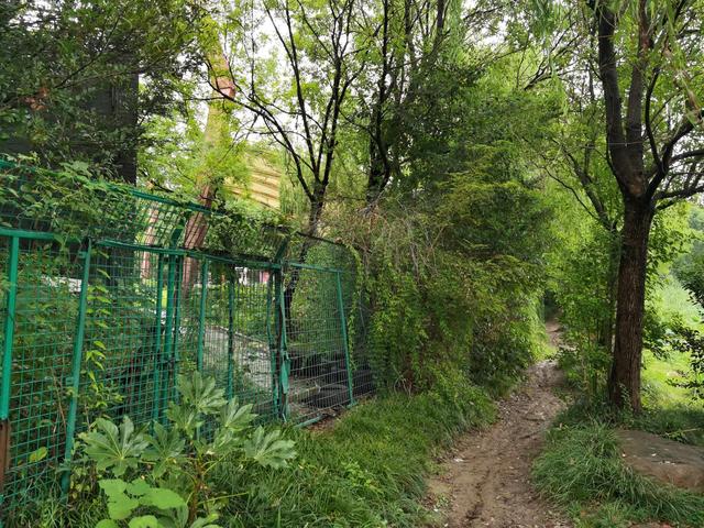 上海新江湾城湿地公园地址路线图（新江湾城公园左岸风光）(8)