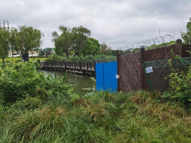 上海新江湾城湿地公园地址路线图（新江湾城公园左岸风光）(10)