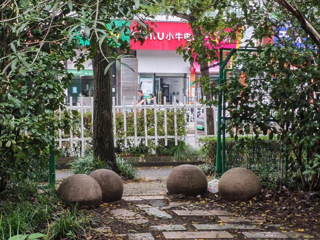 上海新江湾城湿地公园地址路线图（新江湾城公园左岸风光）(3)