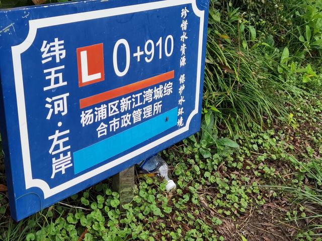 上海新江湾城湿地公园地址路线图（新江湾城公园左岸风光）(1)