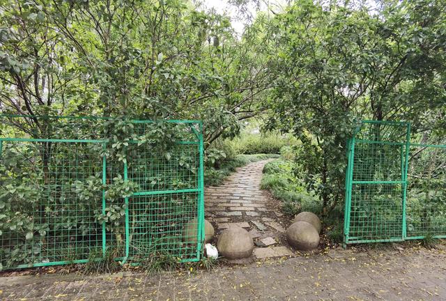 上海新江湾城湿地公园地址路线图（新江湾城公园左岸风光）(2)