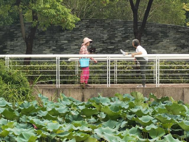 上海新江湾城湿地公园地址路线图（新江湾城公园左岸风光）(19)