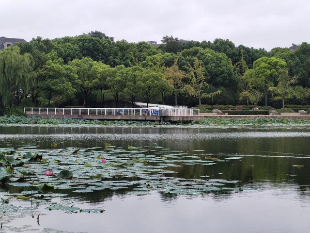 上海新江湾城湿地公园地址路线图（新江湾城公园左岸风光）(18)