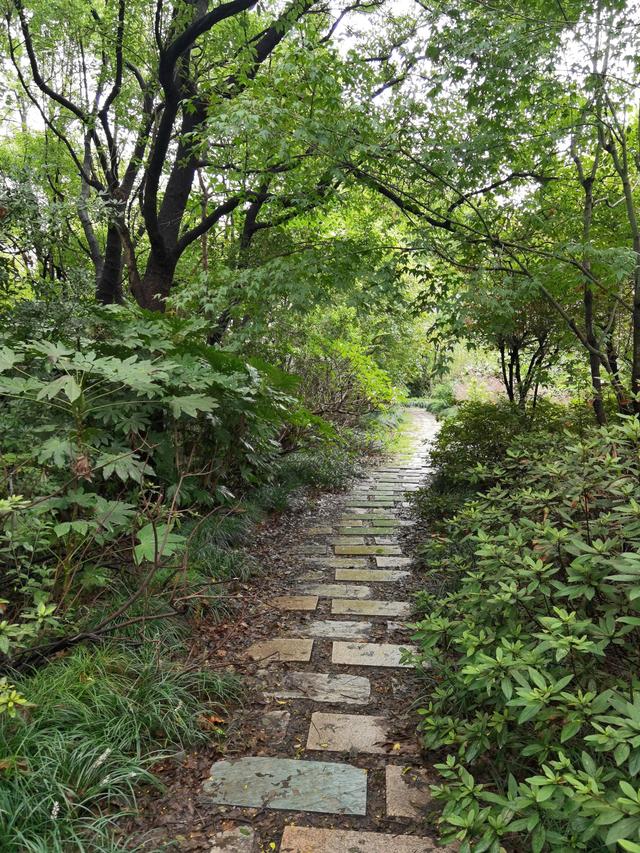 上海新江湾城湿地公园地址路线图（新江湾城公园左岸风光）(6)