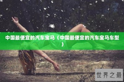 ​中国最便宜的汽车宝马（中国最便宜的汽车宝马车型）