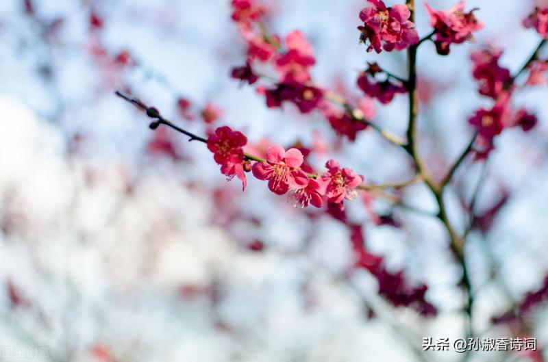 言不老镜中人打两字(言不老镜中人打二个字)