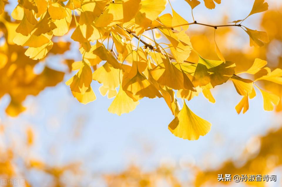 言不老镜中人打两字(言不老镜中人打二个字)