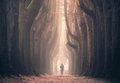 ​为什么说高圆圆是炮架，与四个男人传出过绯闻三个是谣言