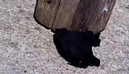 男子用避孕套取火 接下来一幕让所有人吃惊（图）