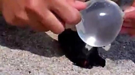 男子用避孕套取火 接下来一幕让所有人吃惊（图）