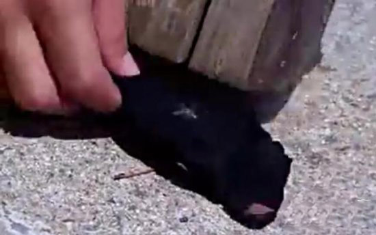 男子用避孕套取火 接下来一幕让所有人吃惊（图）