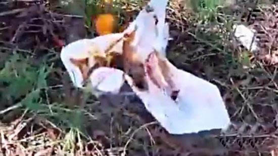 男子用避孕套取火 接下来一幕让所有人吃惊（图）