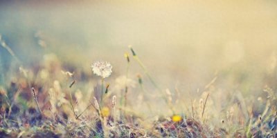 ​一句很霸气逗比的话语 超幽默说说短句分享