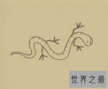 ​画蛇根本不用添足，真足蛇证明蛇真有四只脚