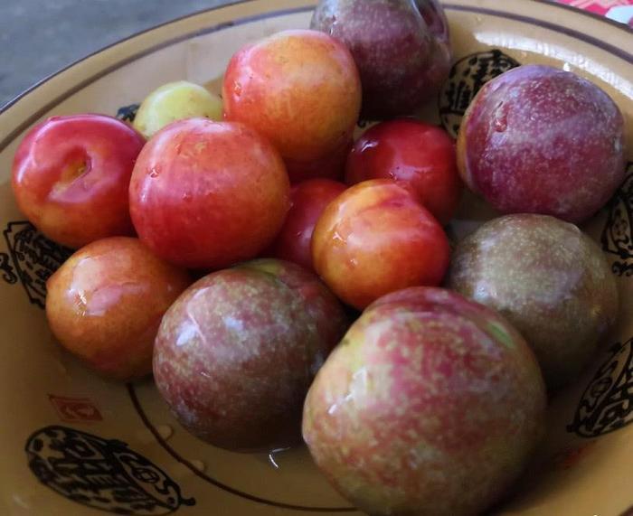 最“燃脂”的四种水果，黄瓜下神坛，常吃图四A4腰“不请自到”