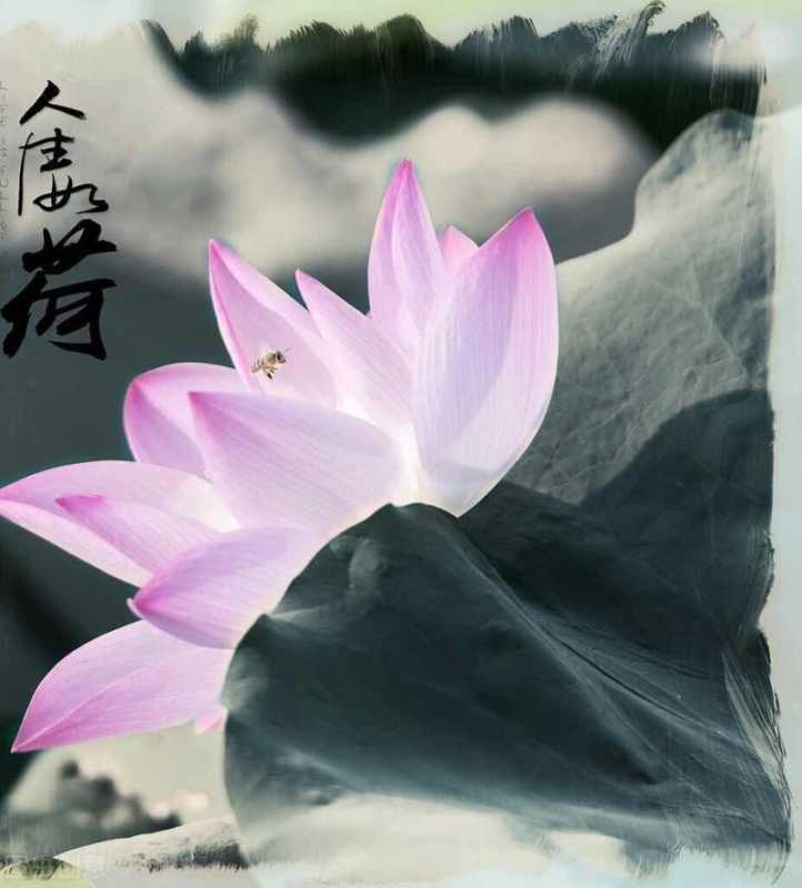 淡泊名利 不要为名利所累