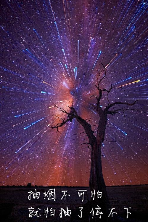 待我戒烟成功,谁能与我争锋?戒烟主题搞笑锁屏壁纸,手机壁纸