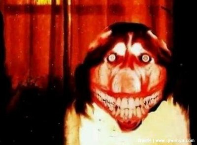 ​5秒吓死人的照片 恐怖微笑狗照片最可怕不信你来试试