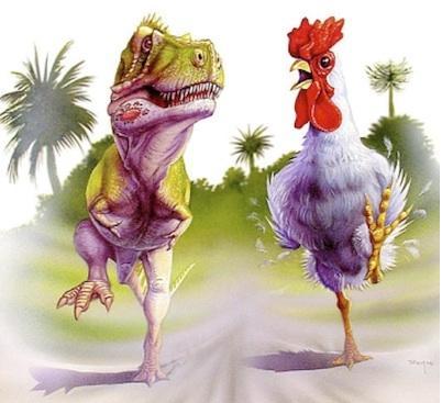 为什么说鸡是恐龙的近亲（科学真相鸡真的是由恐龙进化来的吗）(4)