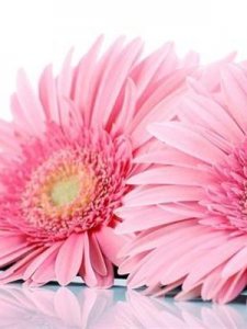 ​爱情两个字(爱情两个字好辛苦是什么歌)