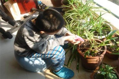 ​浇花是早上还是晚上 浇花什么时候浇