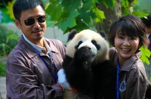 她是知否的小秦氏,嫁给苏家“大哥”,意外毁容丈夫为她吃素5年