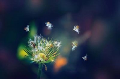 ​口罩戴反了会有影响吗？口罩戴反了一点用都没有吗？